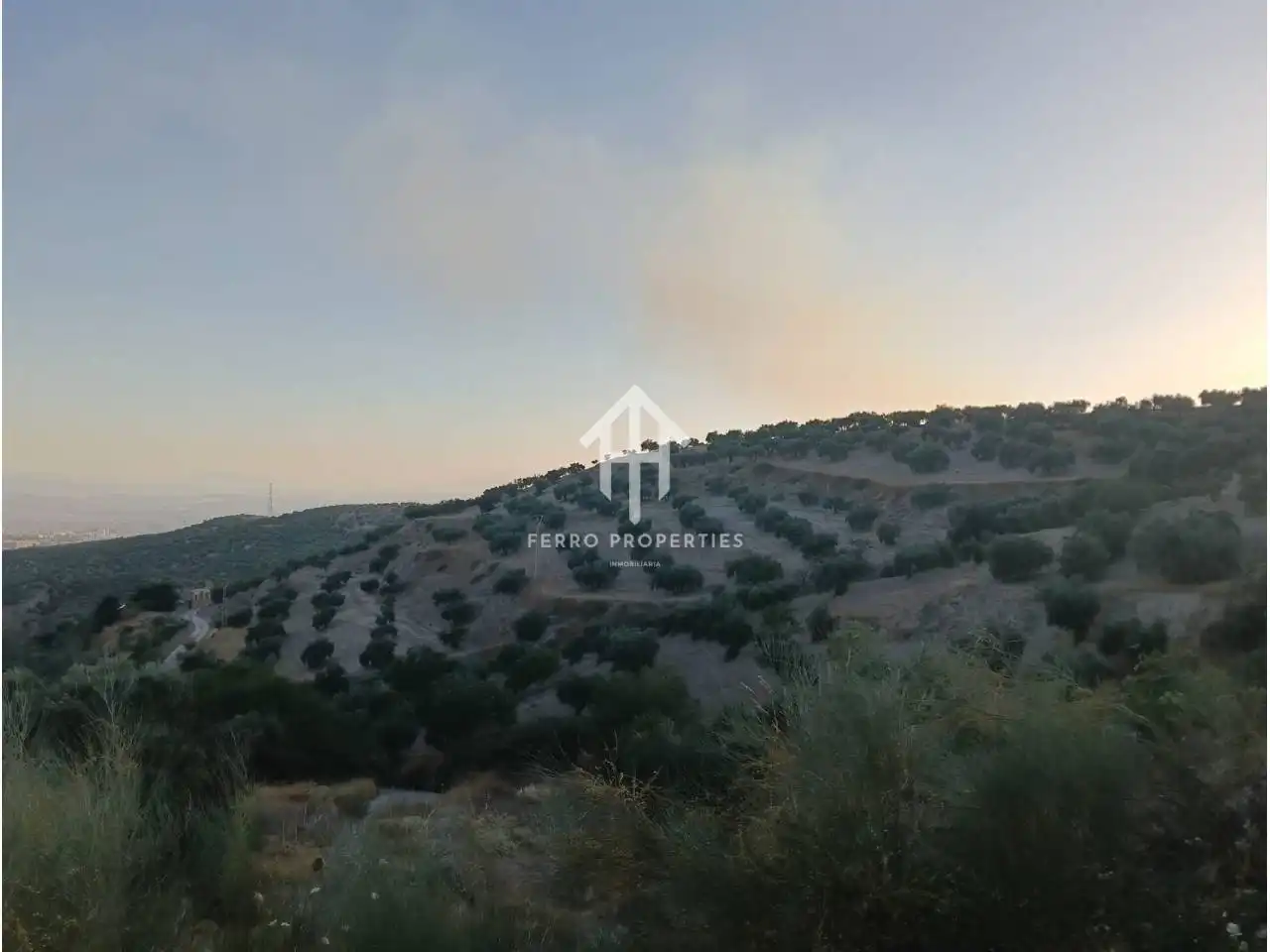 Terreno rustico in vendita a Camino Yeseros de Nivar 1, imagen 6