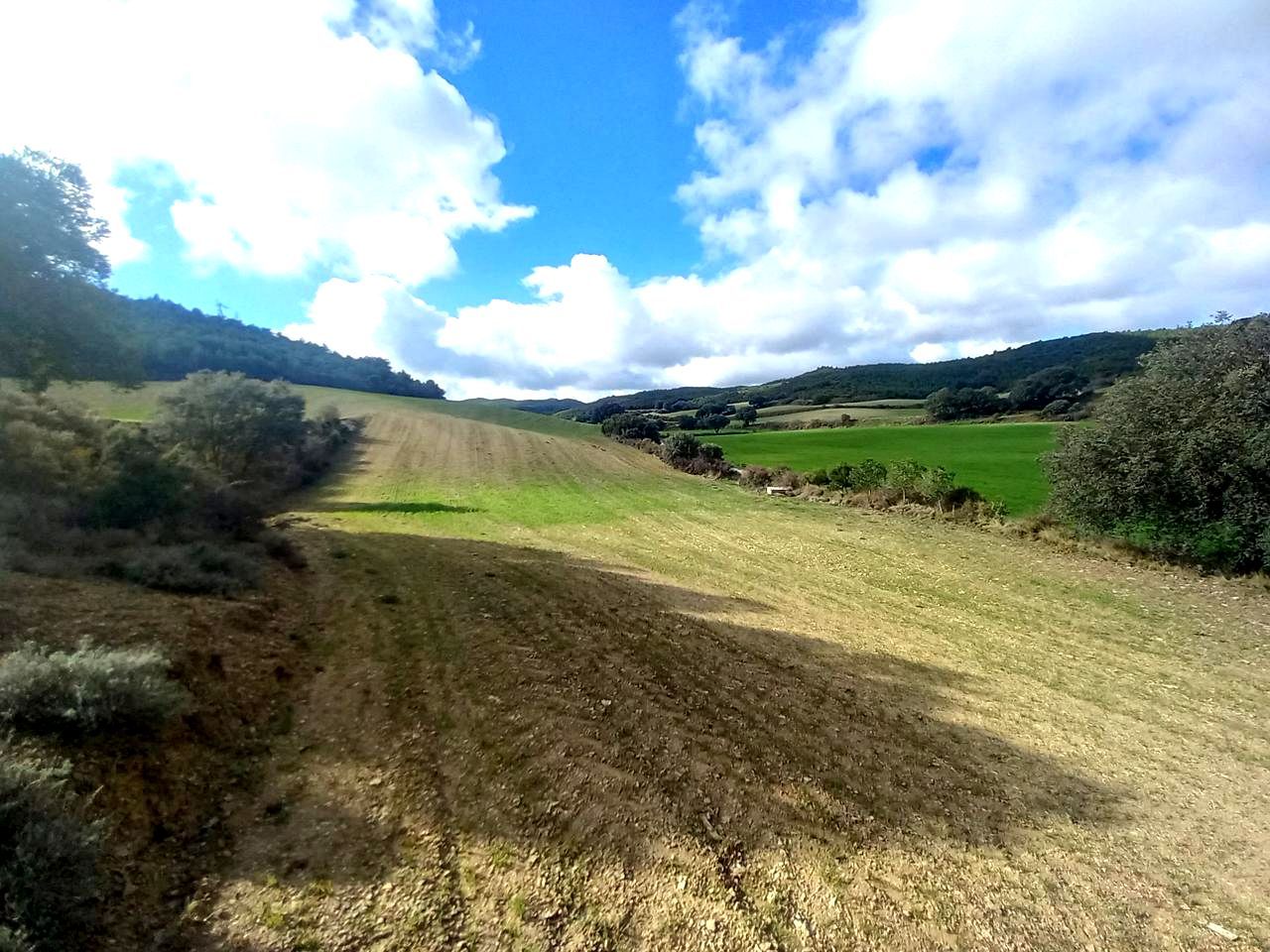 Land for sale in Castejón de Valdejasa