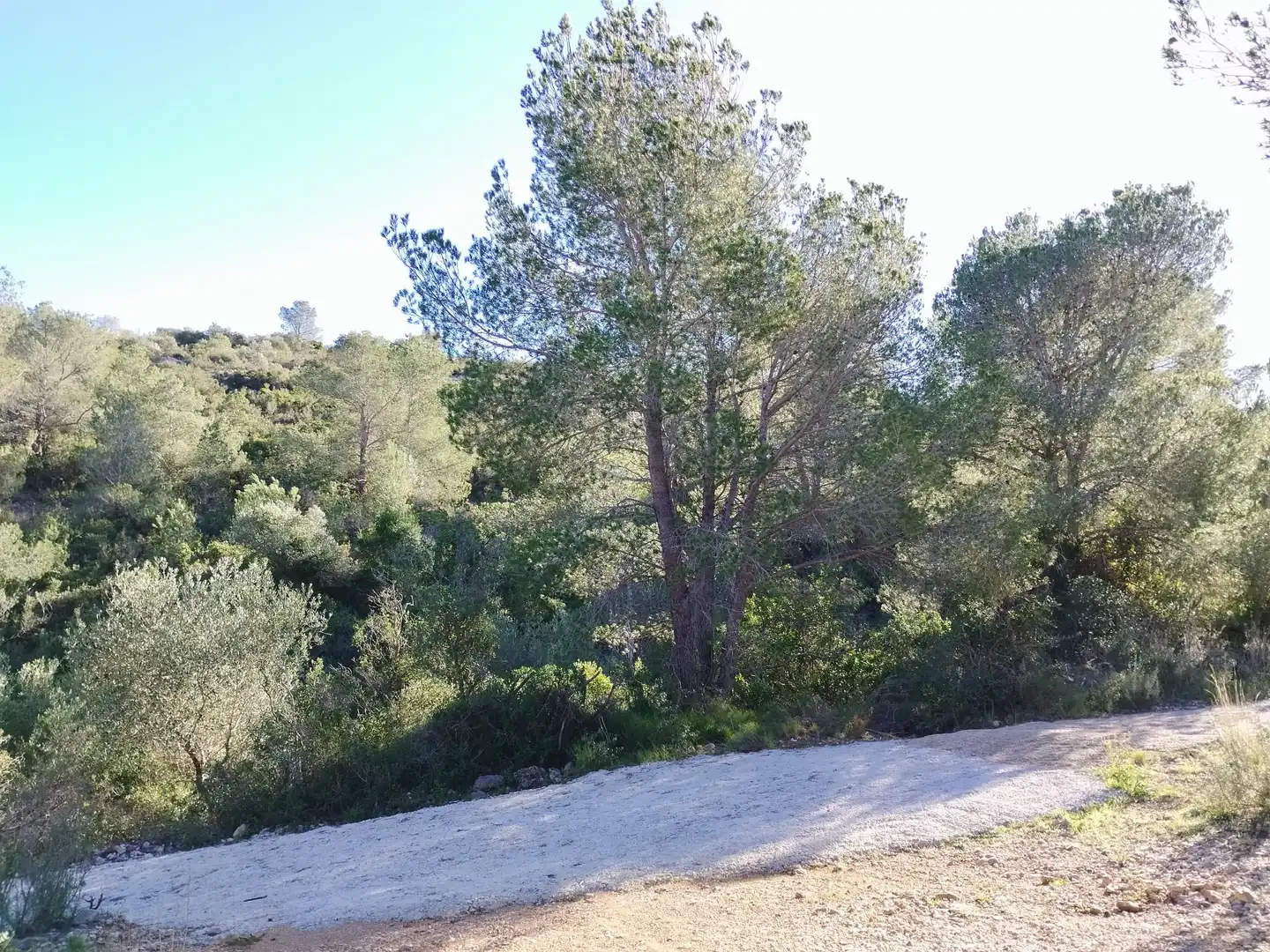 Terreno rustico in vendita a Carrer Camí del Llop 46, imagen 7