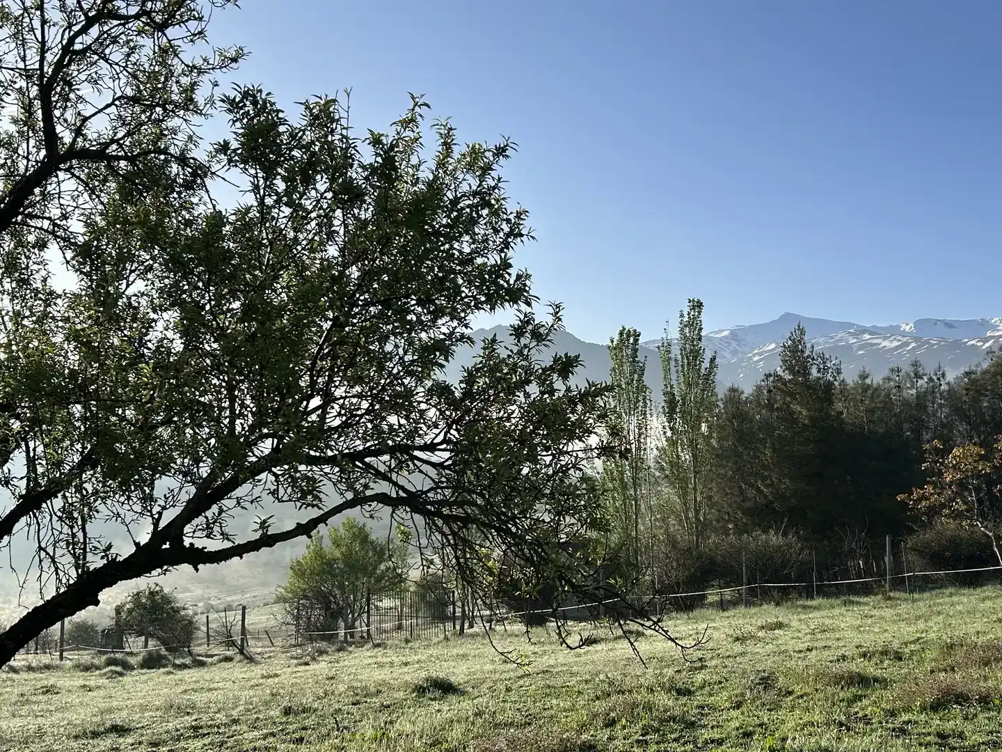 Casa o xalet en venda en Monachil
