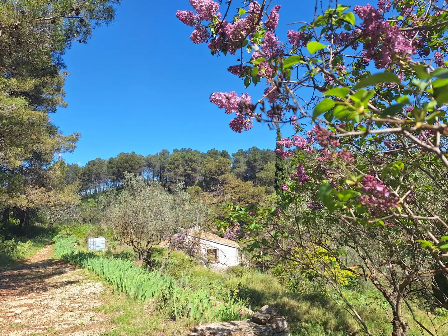 Finca rústica en venda en Alcoy / Alcoi amb Traster i Moblat
