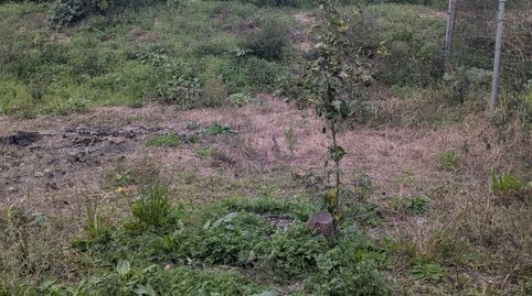 Foto 3 de Terreno en venta en Estación de Cártama, Cártama