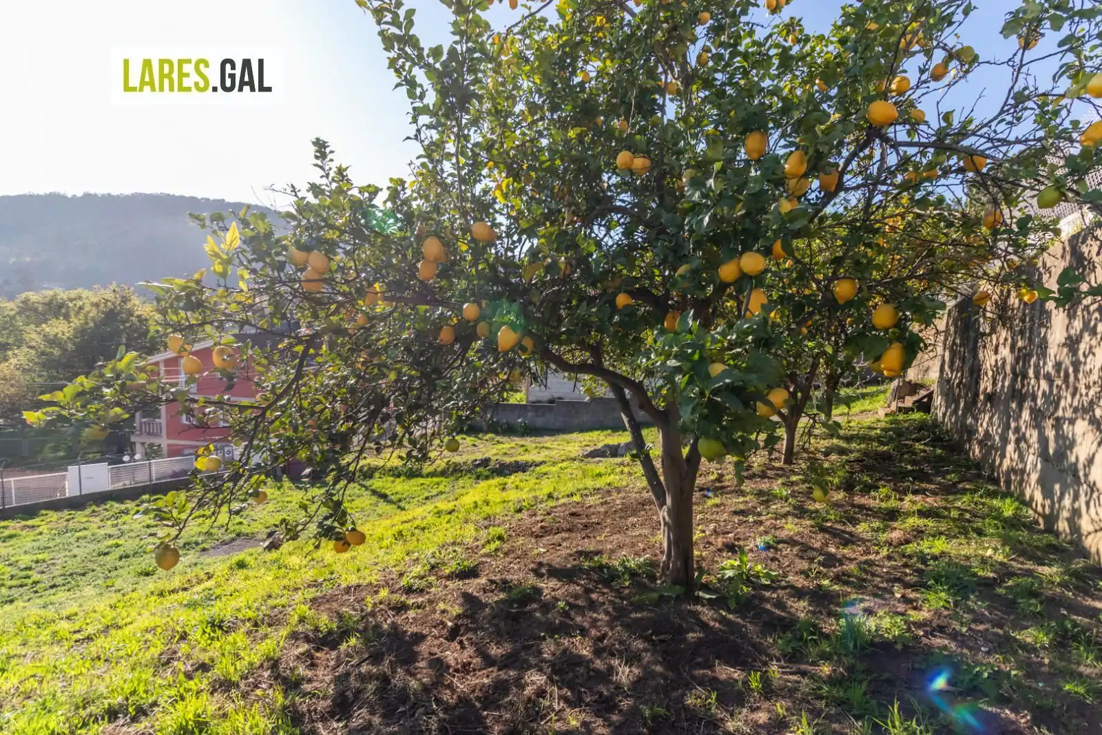 Terreni e lotti in vendita a Lg. O Broullón, imagen 16