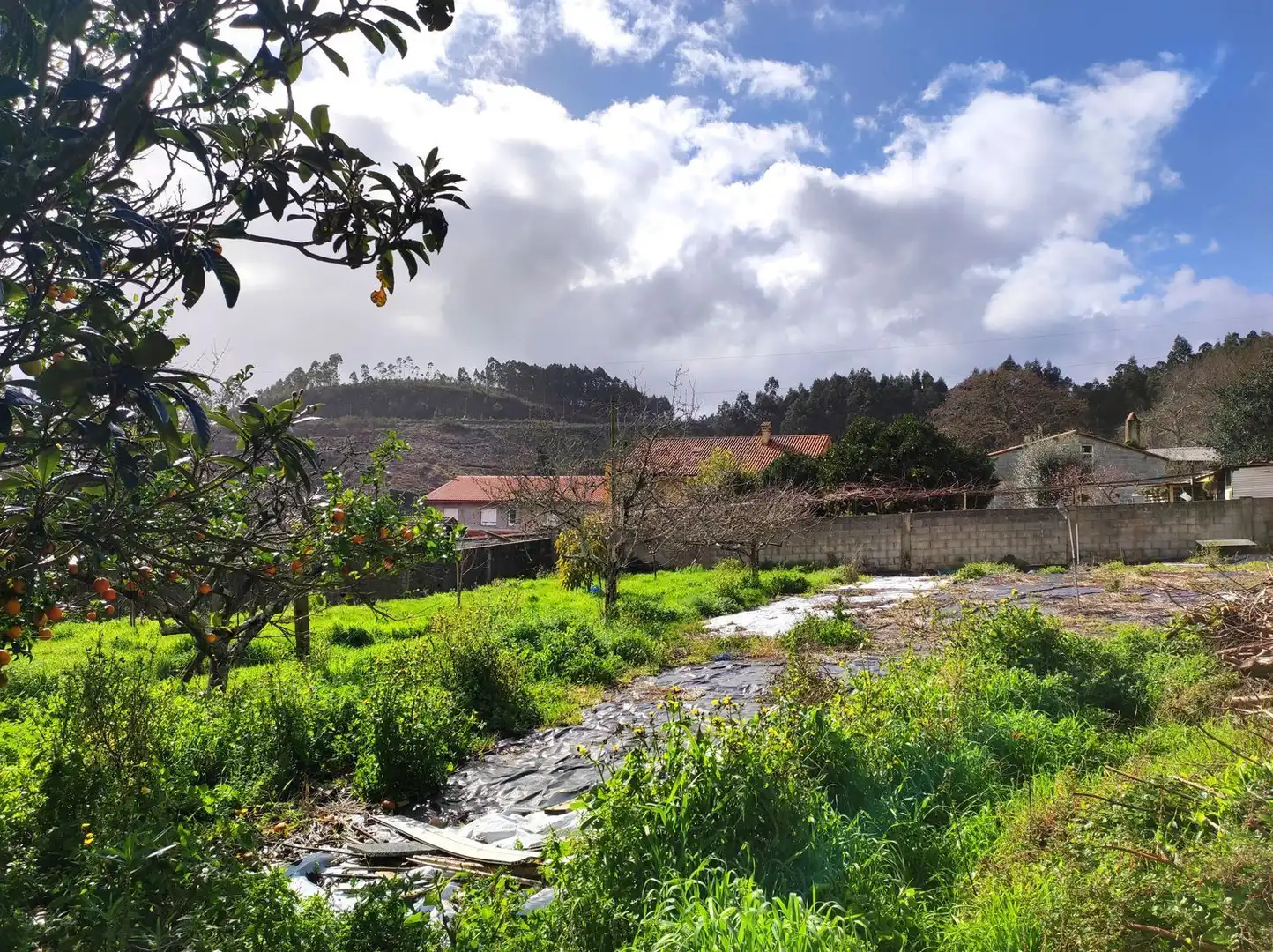 Villa avec jardin à vendre à Tarrio, imagen 6