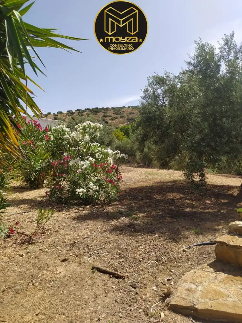 House with terrace for sale in Martos, imagen 6