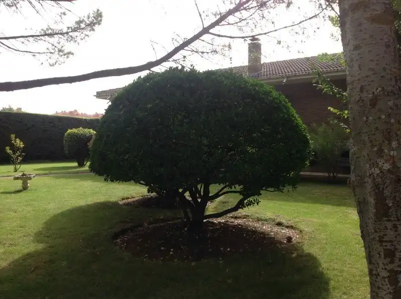 Jardín de Casa o chalet en venta en Santo Domingo de la Calzada con Calefacción, Jardín privado y Piscina