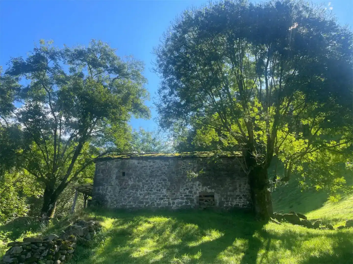Vista exterior de Finca rústica en venda en Selaya