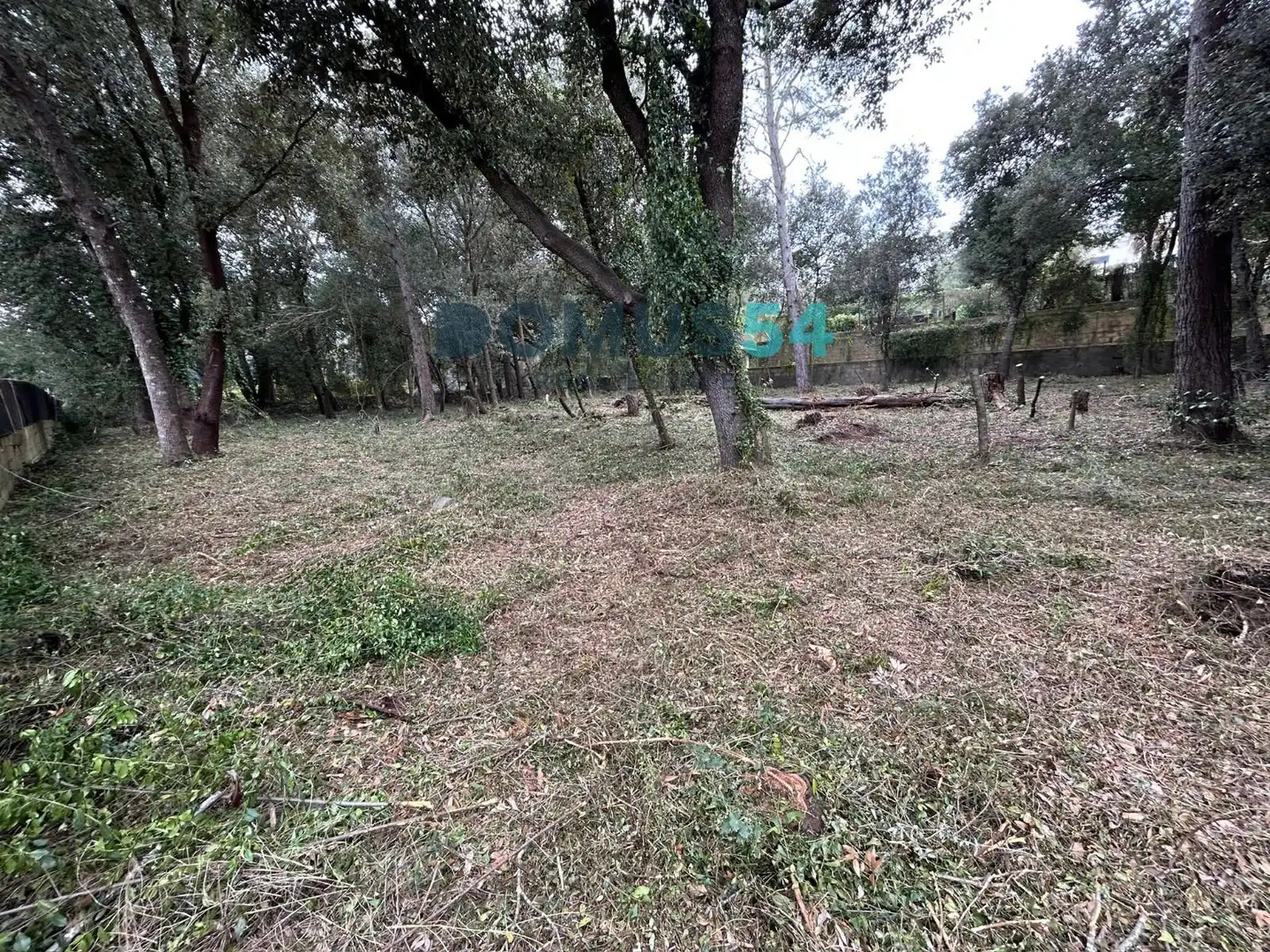 Rural land for sale in Sa Pobla, imagen 7