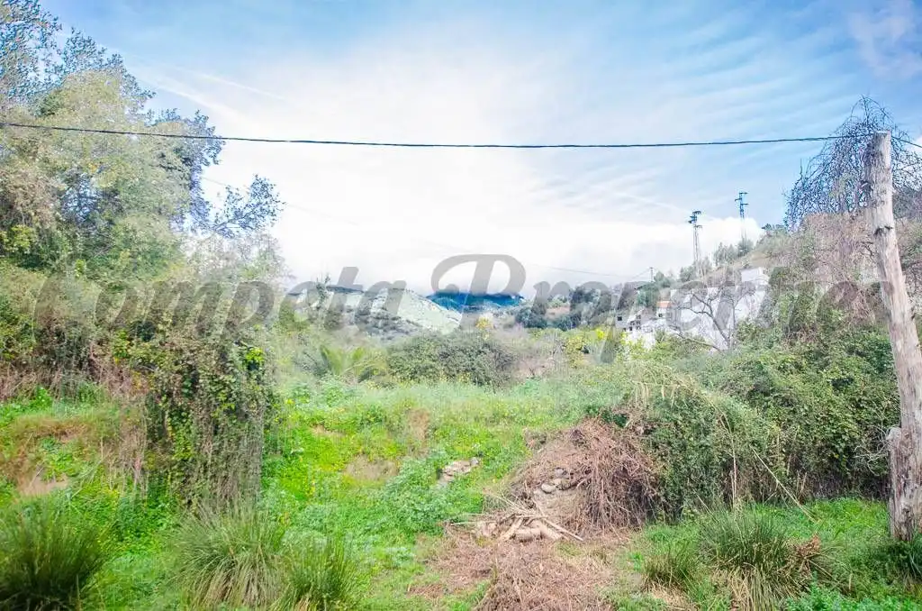 Terreno rustico in vendita a Árchez, imagen 4