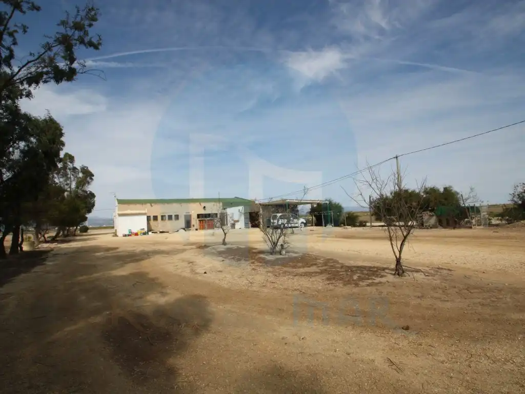 Business premises for sale in Deltebre, imagen 17