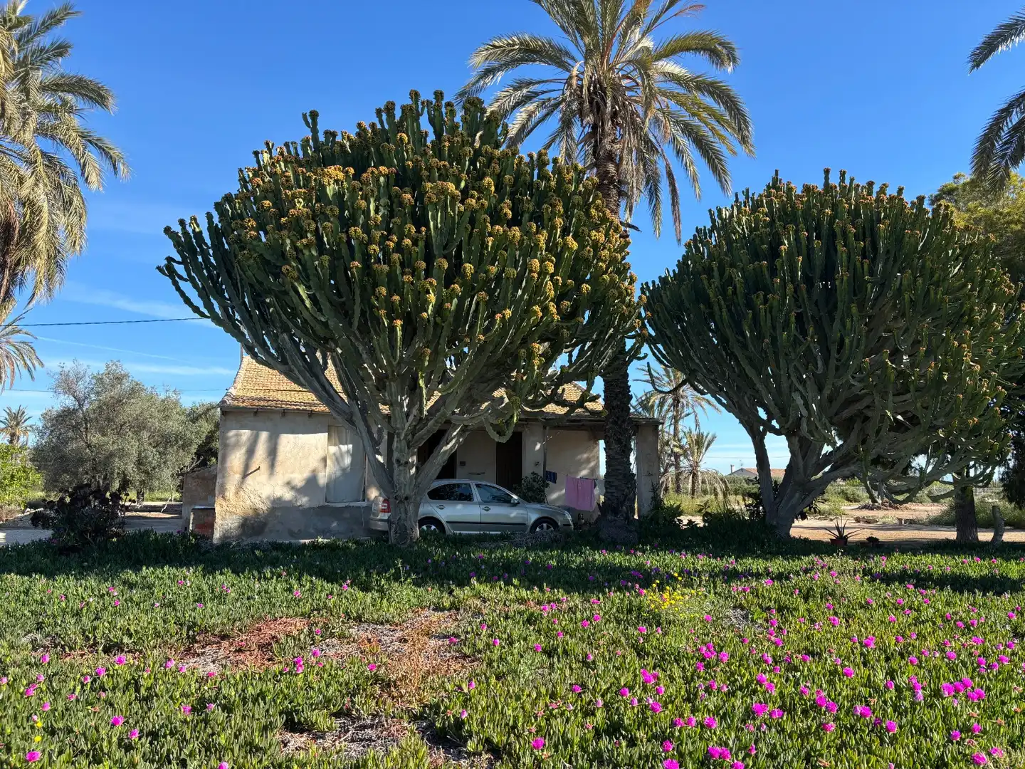 Exterior view of Houses for sale in Elche / Elx