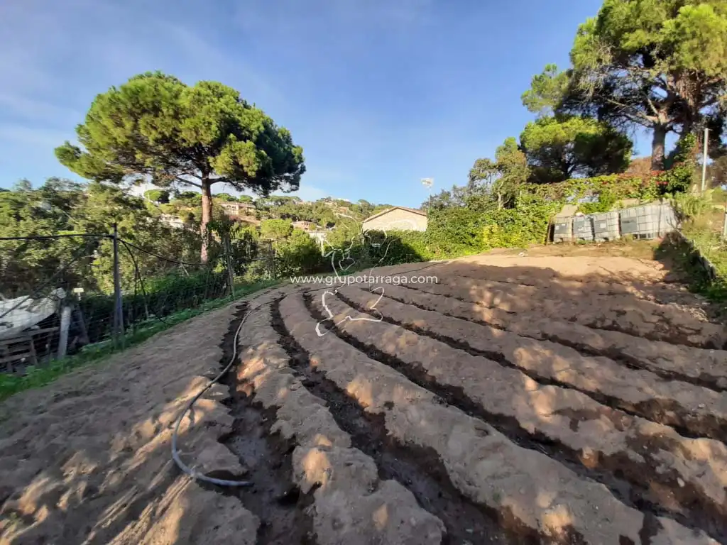 Wohnbaugrundstück zum Verkauf in Avinguda de la Senyera 56, imagen 4