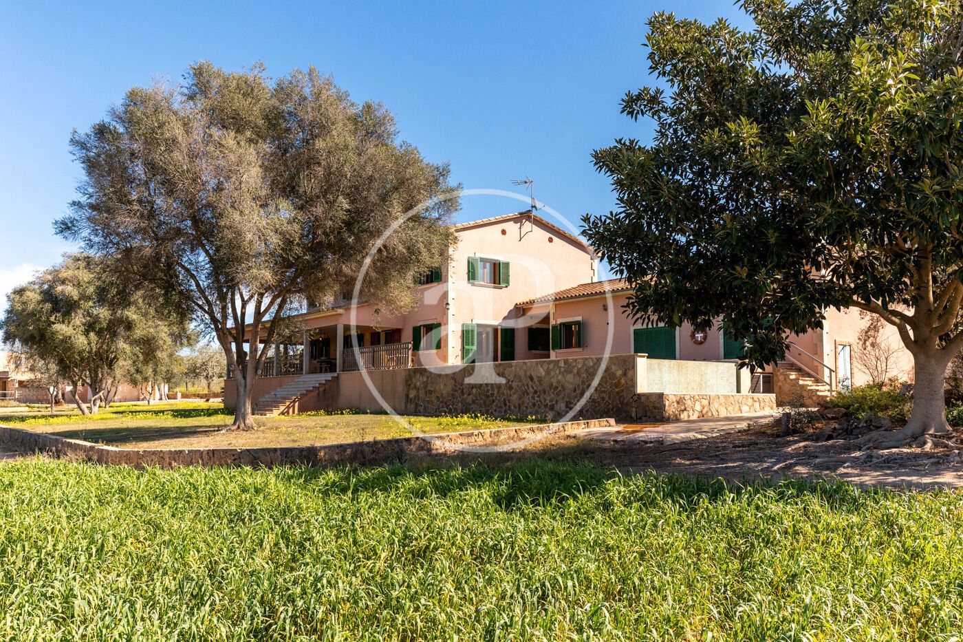 Vista exterior de Casa o chalet en venta en  Palma de Mallorca con Aire acondicionado, Calefacción y Jardín privado
