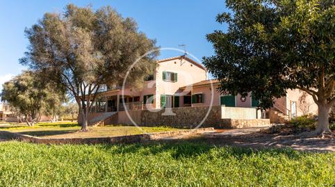 Photo 3 of House or chalet for sale in Carrer Sant Jordi, Sant Jordi, Illes Balears