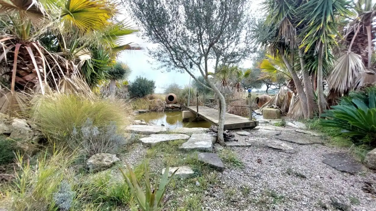Jardín de Casa o chalet en venta en Lloret de Vistalegre