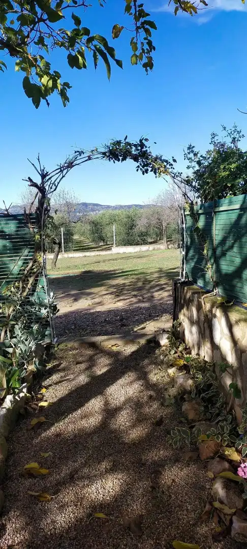 Country homes for sale in Garcia