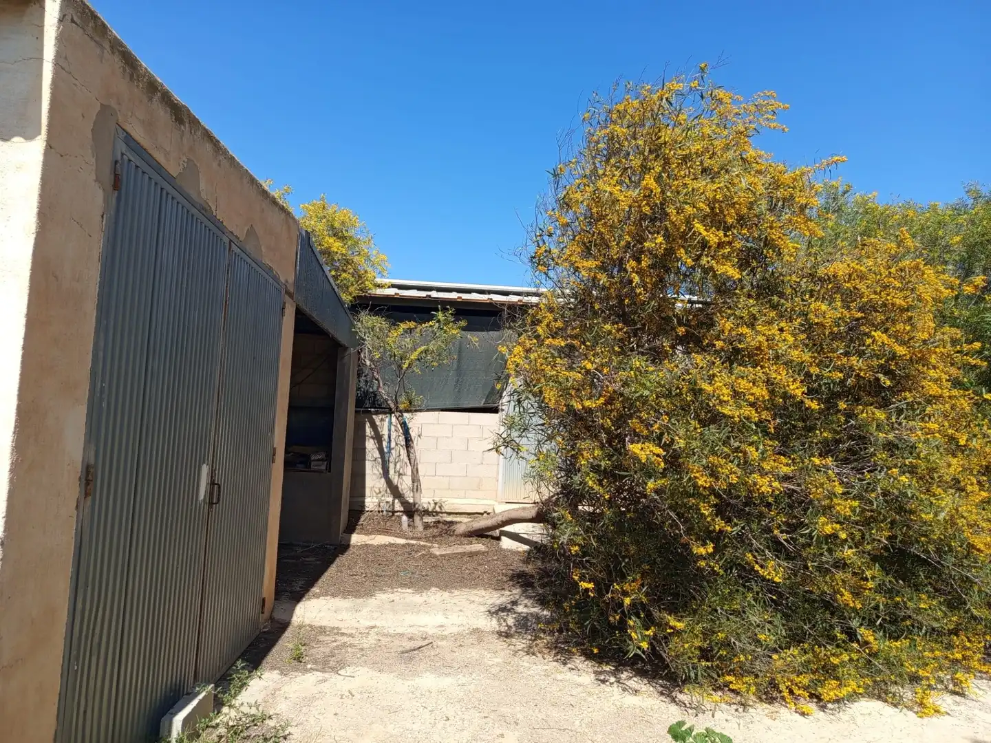 Vista exterior de Nave industrial en venta en Fuente Álamo de Murcia