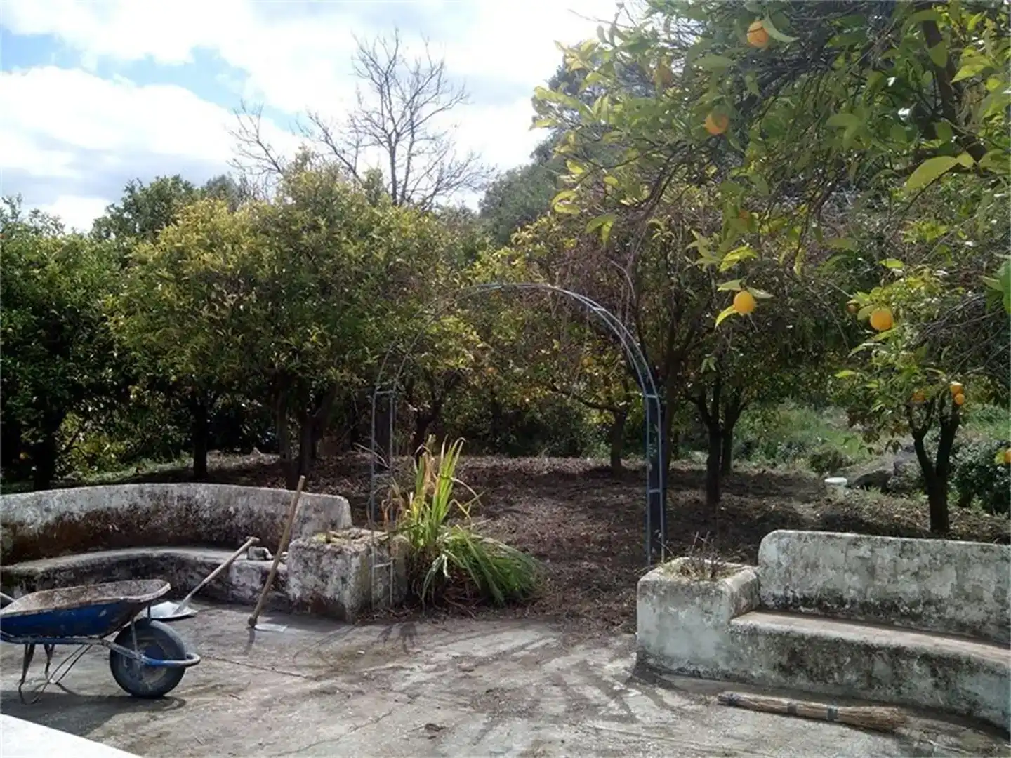 Jardín de Casa o chalet en venta en Alozaina con Jardín privado, Piscina y Amueblado