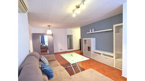 Foto 2 de Piso de alquiler en Calle Francisco Pacheco, Los Guindos - Parque Mediterráneo - Santa Paula, Málaga Capital