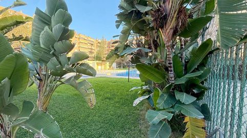 Foto 4 de Planta baja en venta en Camino Pato del, Puerta Blanca, Málaga Capital
