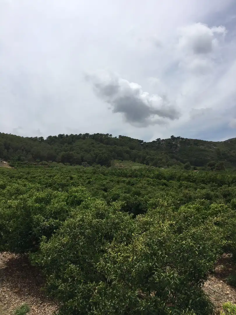 Rural land for sale in Ptda Miravet, imagen 11