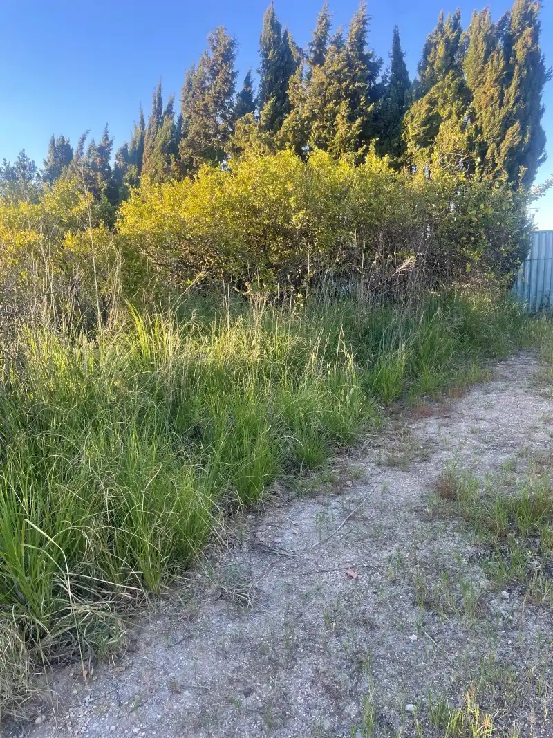 Terreno en venta en Gandia