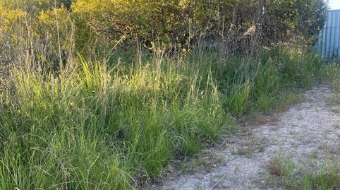 Photo 3 of Land for sale in Camí del Racó, 13, Urbanizaciones, Gandia