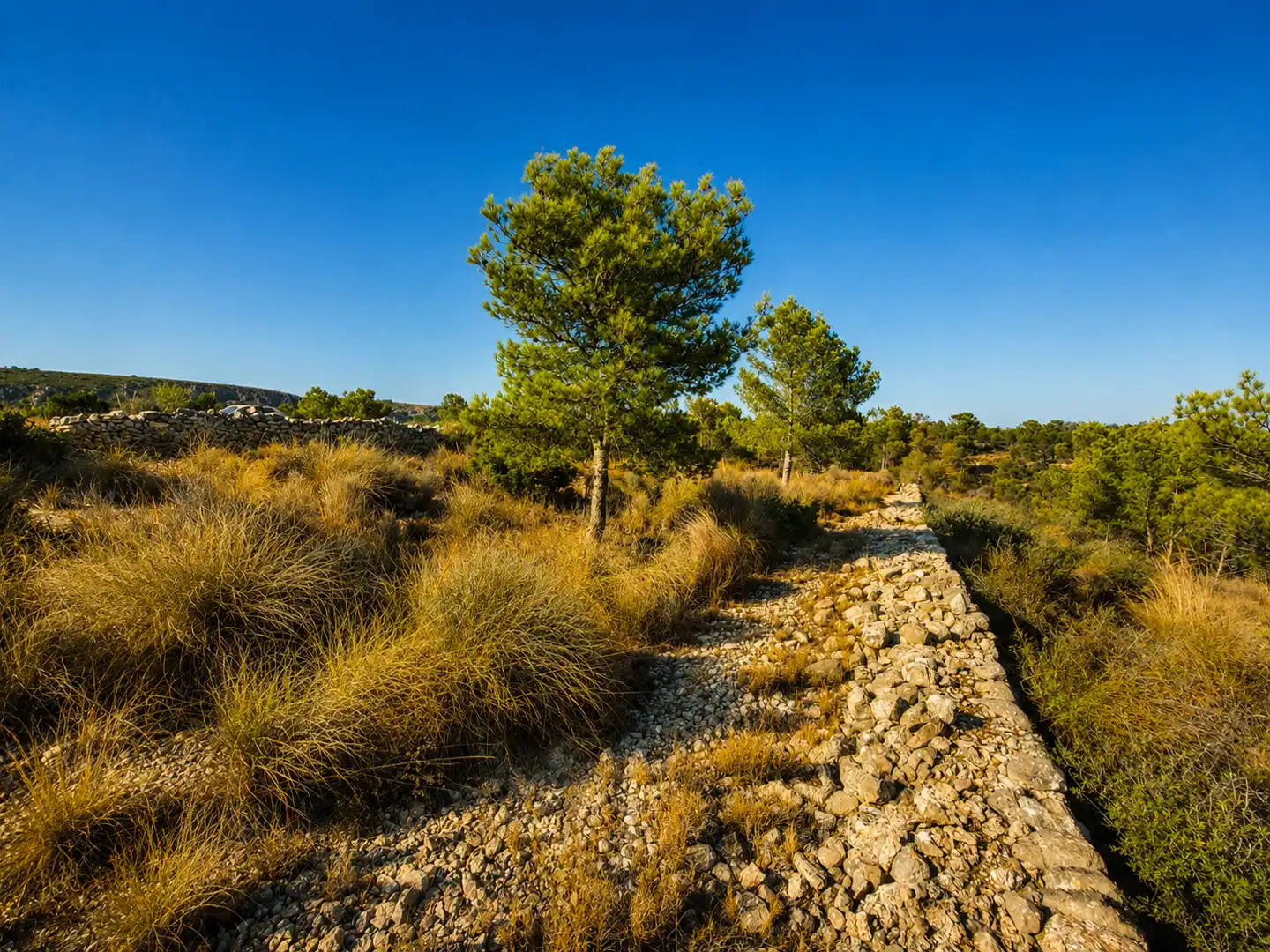 Terreno en venta en La Romana