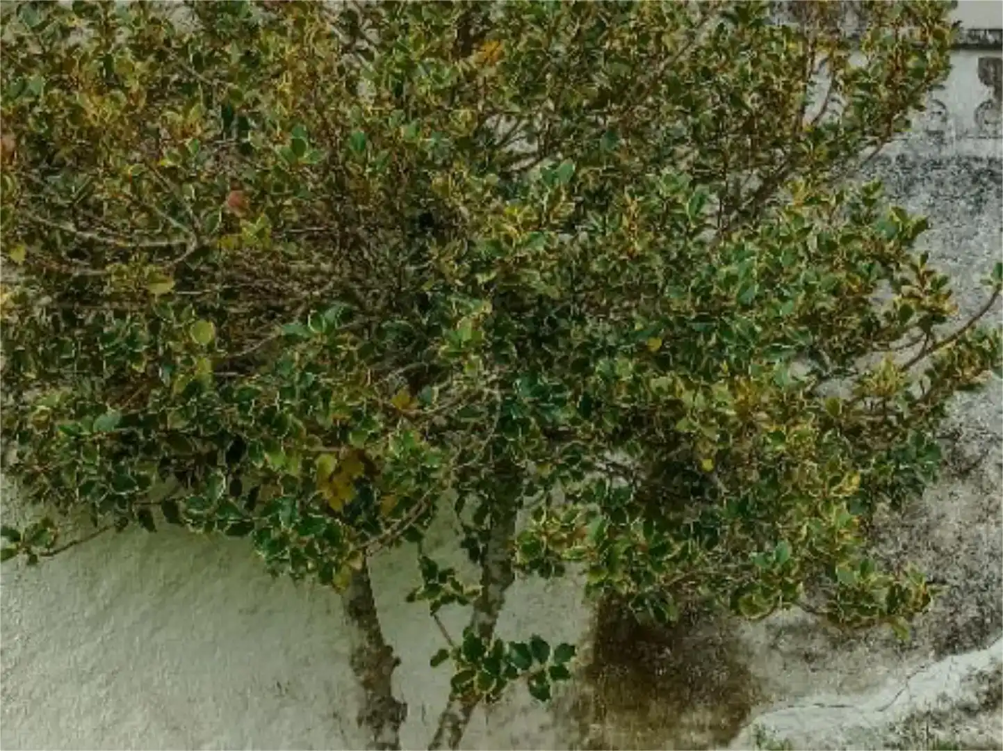 Terraza de Planta baja en venta en Membribe de la Sierra con Amueblado