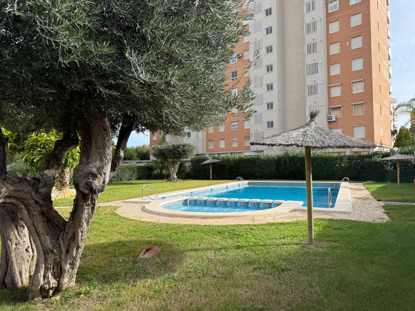 Swimming pool of Flat for sale in Alicante / Alacant  with Air Conditioner, Heating and Terrace