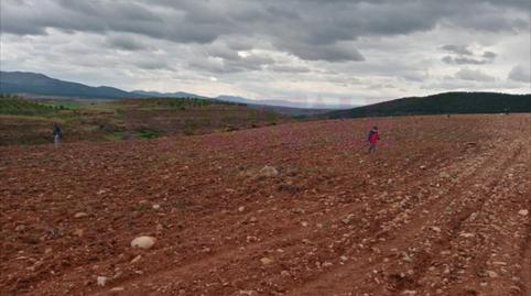 Photo 4 of Residential to rent in Clarés de Ribota, Zaragoza