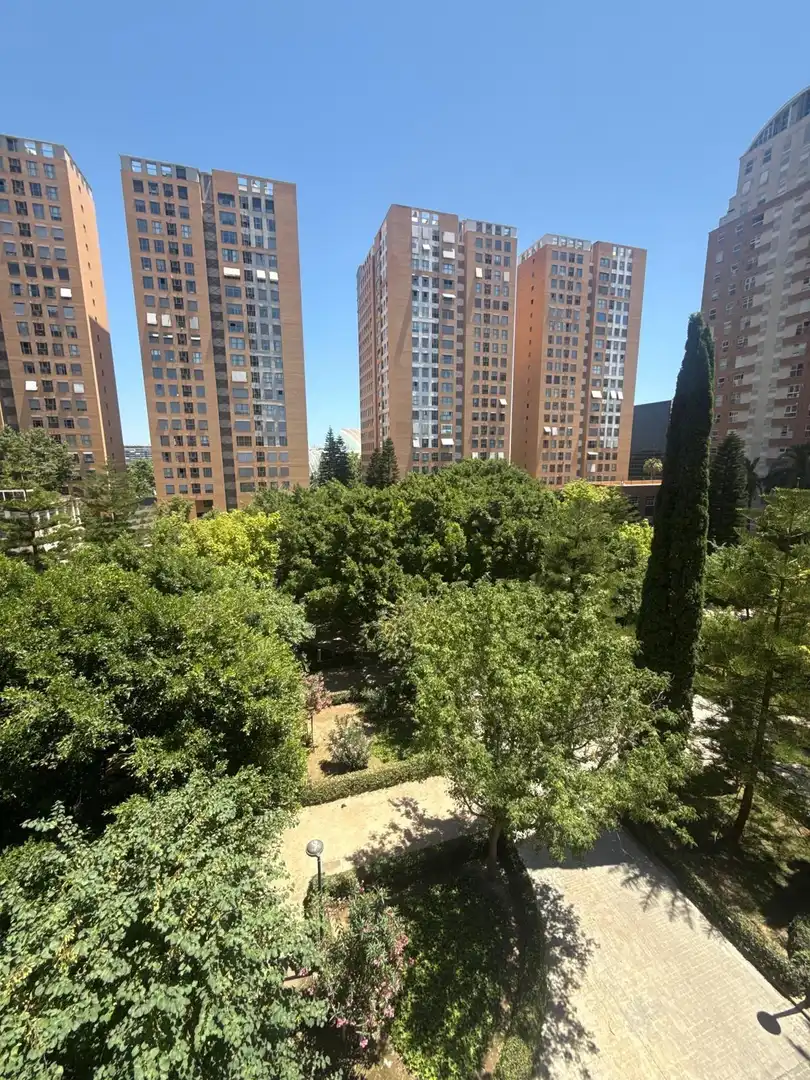 Pis de lloguer a Plaza Plaza Miguel Asins Arbo, Ciutat de les Ciències i de les Arts - Justicia