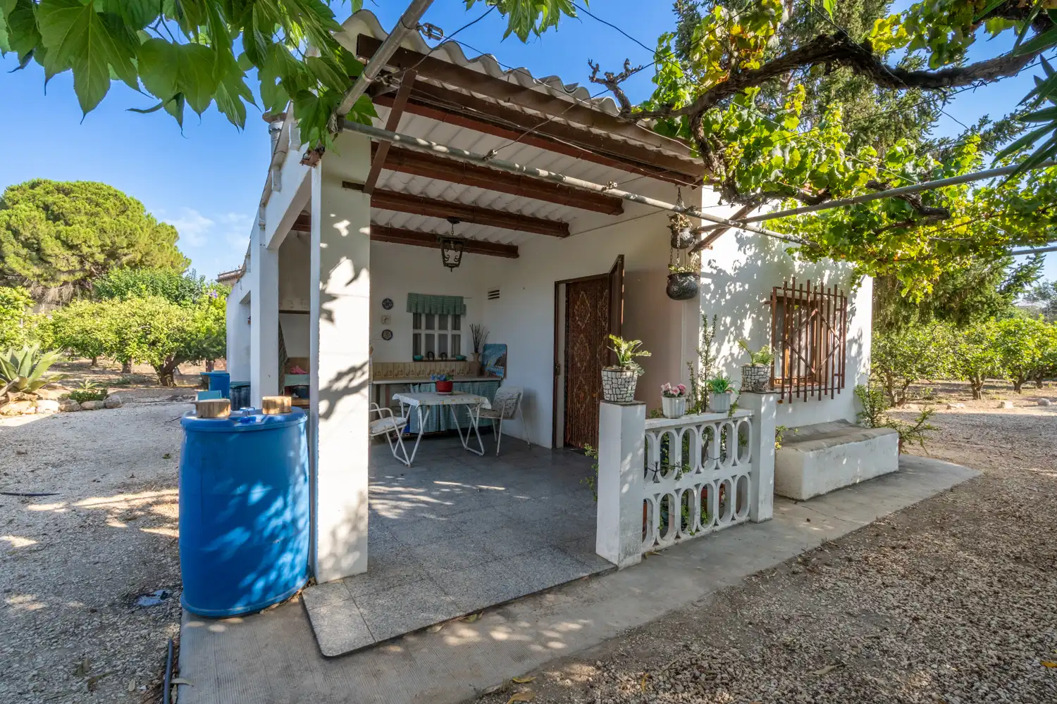 Terreno rustico in vendita a Passeig Manel Cid, imagen 3