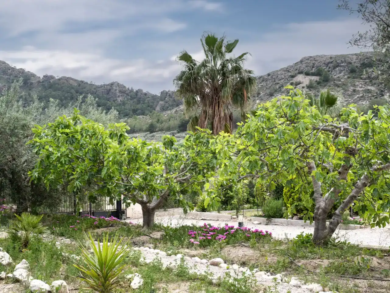 Jardín de Piso en venta en Calasparra con Aire acondicionado, Piscina y Amueblado