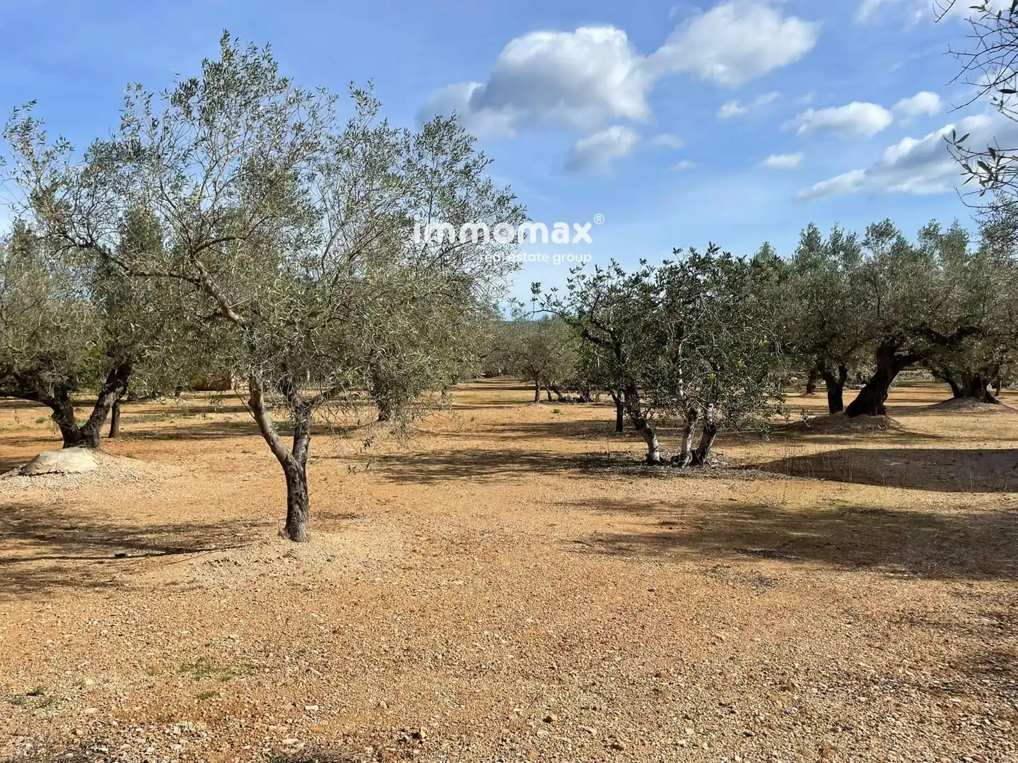 Residential land for sale in 10, imagen 5