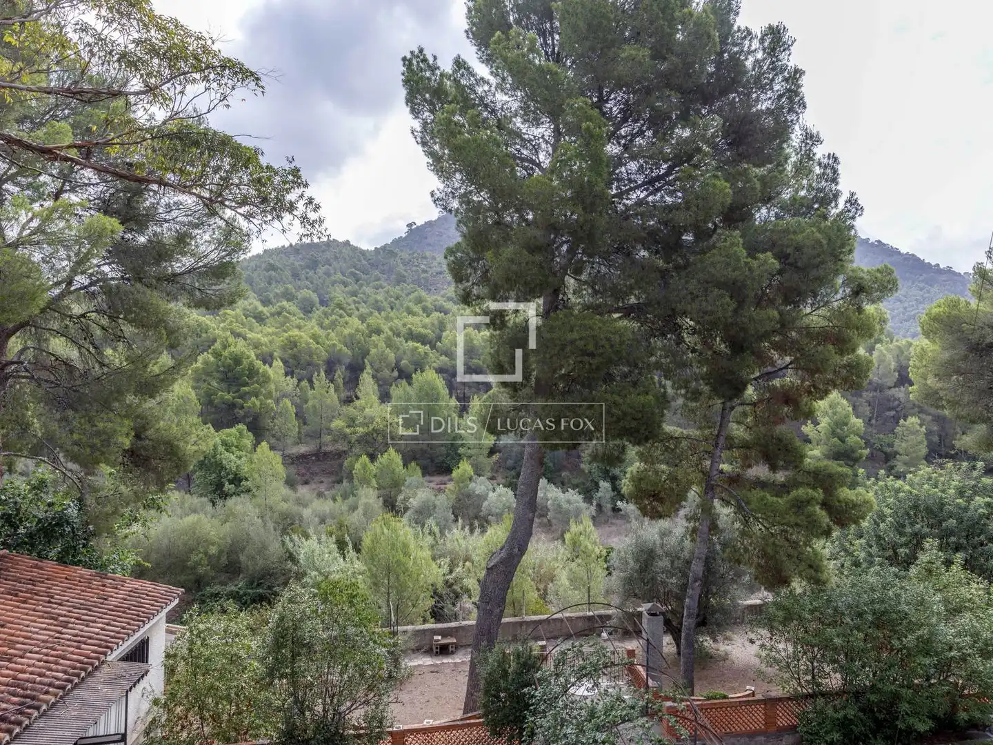 Villa con terrazza in vendita a Monteamor - La Carrasca - El Peucal, imagen 55