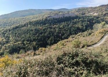 Photo 3 of Land for sale in El Solano, Aisa, Huesca