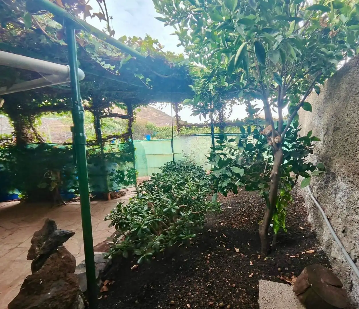 Jardí de Terreny en venda en Santiago del Teide