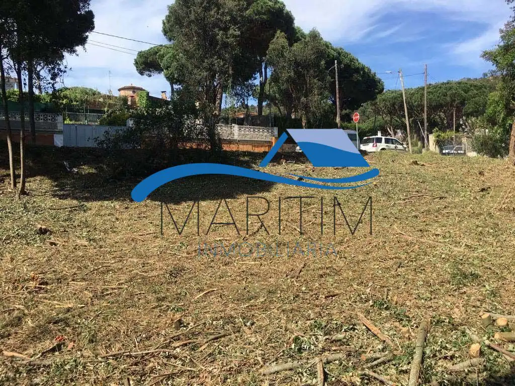 Lands and plots for sale in Carolina Coronado, imagen 14