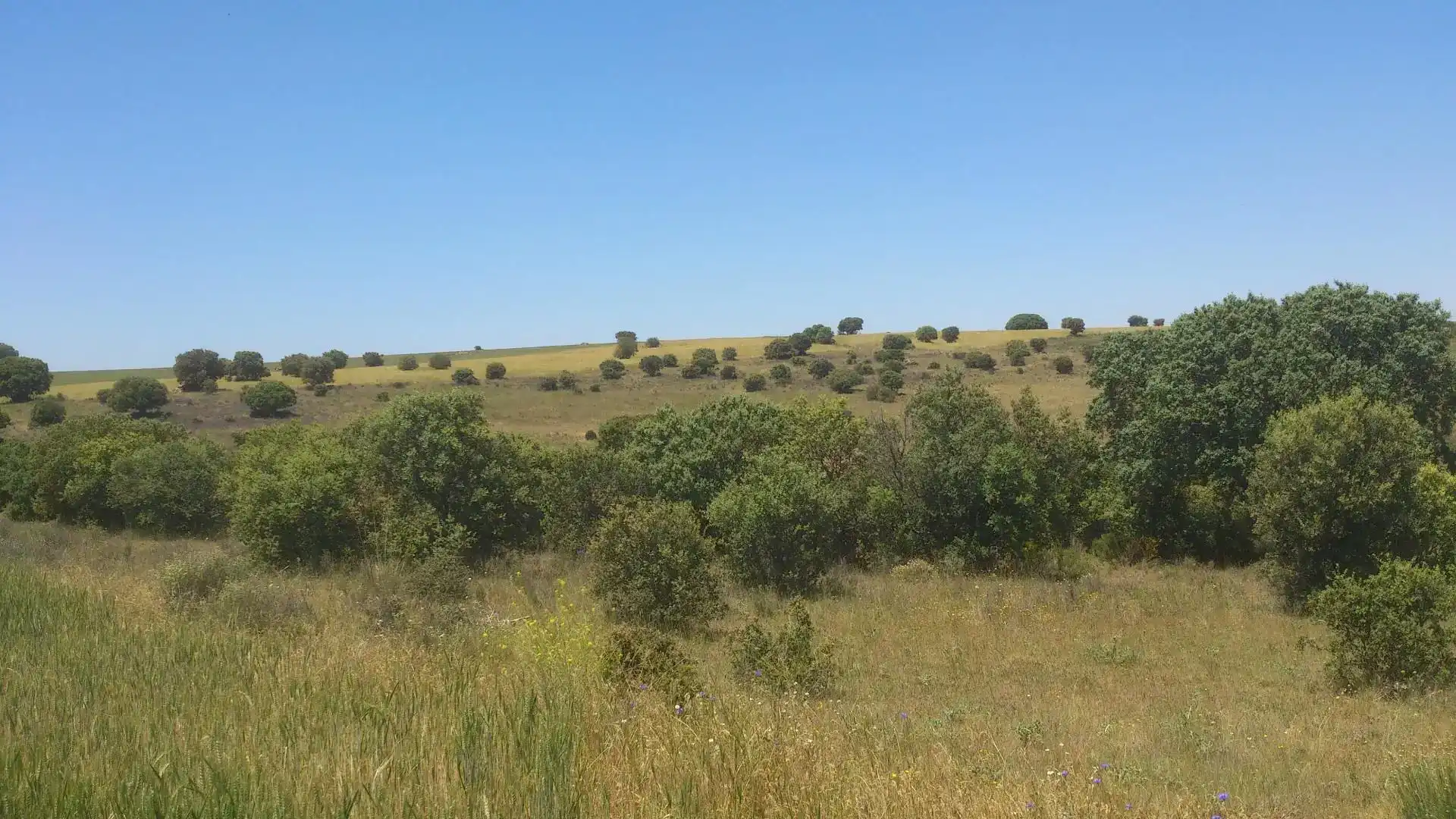 Terreno en venta en Mediana de Voltoya