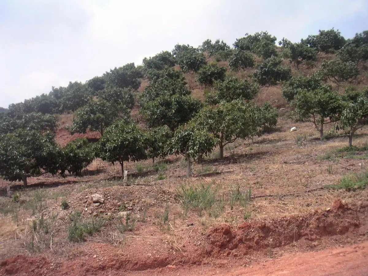 Terreni e lotti in vendita a Valtocado - La Alquería - La Atalaya, imagen 6