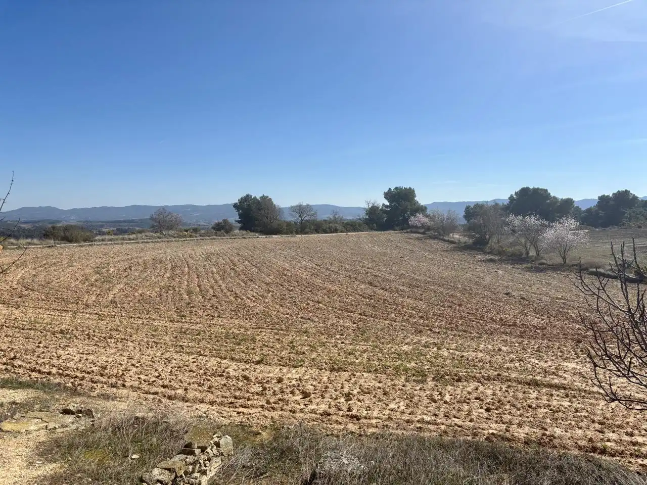 Terreno en venta en Blancafort