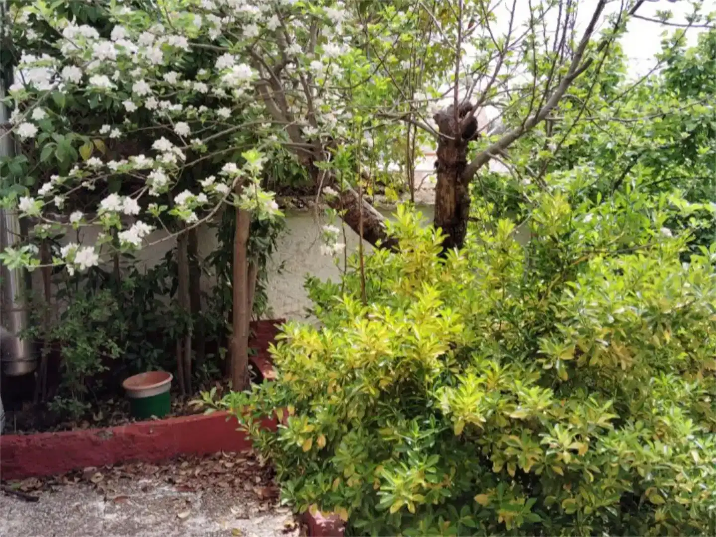 Jardín de Casa o chalet en venta en Almuradiel con Jardín privado, Trastero y Amueblado
