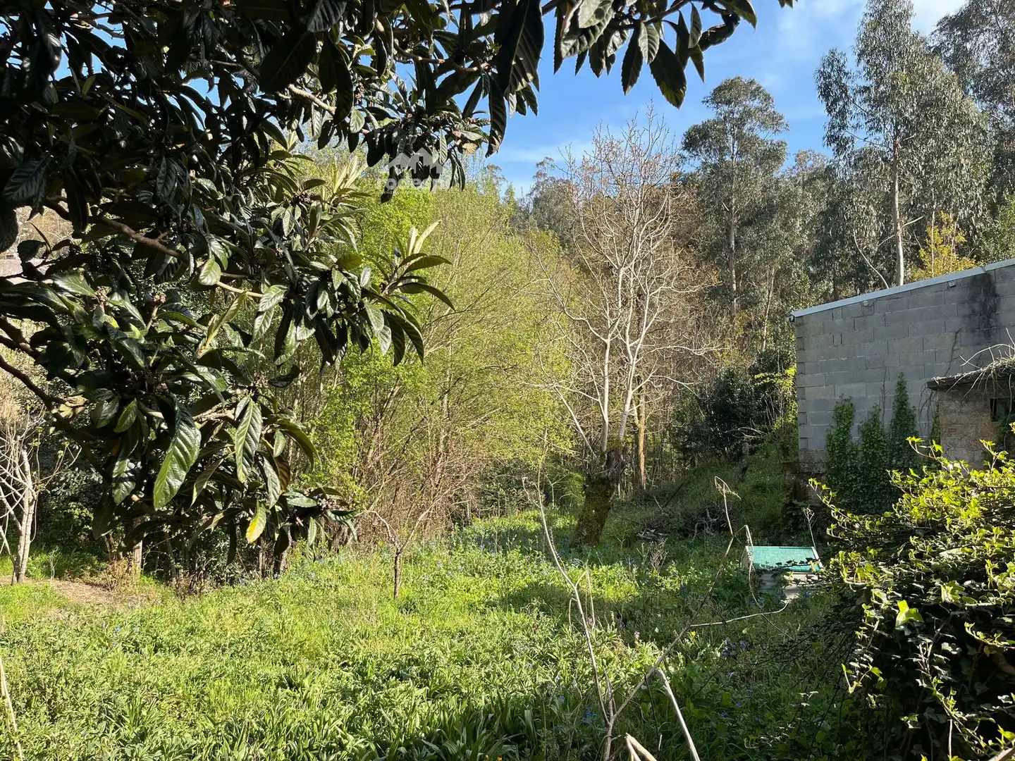 Maison à vendre à Crecente, imagen 40