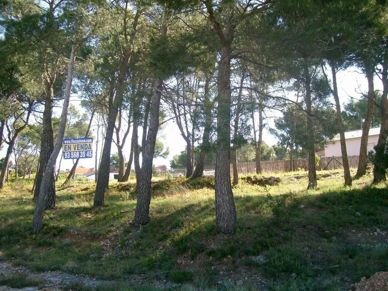 Lands and plots for sale in Cabra del Camp, imagen 4
