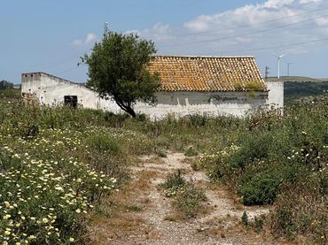 Rural land for sale in Medina Sidonia