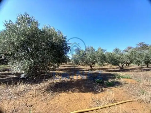 Rural land for sale in Fuente Obejuna, imagen 49