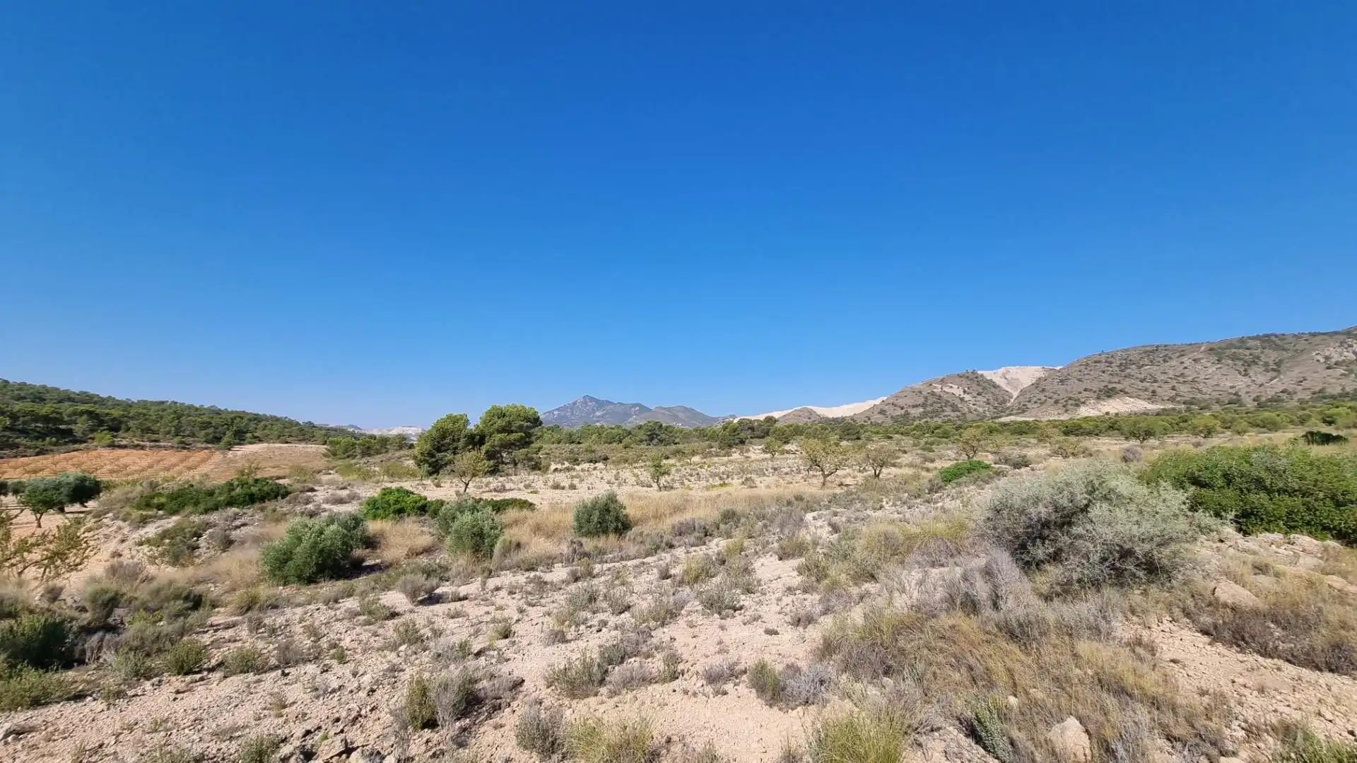 Lands and plots for sale in Abanilla, imagen 12