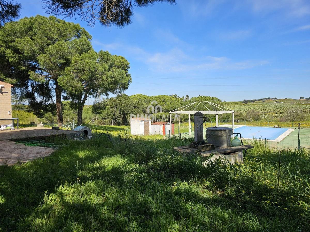 Finca rústica en venta en Cartaya con Terraza