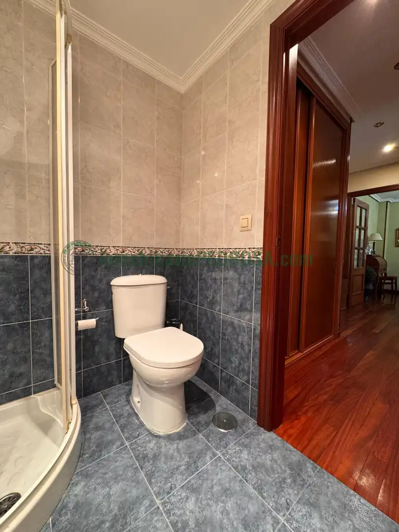 Apartament amb ascensor de lloguer a Zona Fernández Ladreda, imagen 15